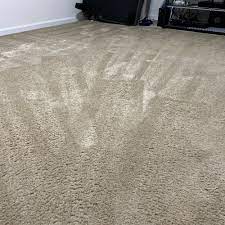 carpet cleaning in wilson nc