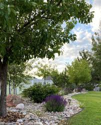 Simple Landscaping And Border Ideas For