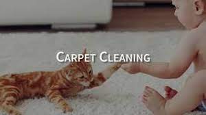 nova steamers is a carpet cleaning