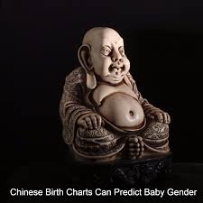 Chinese Birth Charts Can Predict Baby Gender Preemie Twins