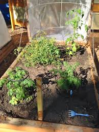 Diy Raised Garden Greenhouses