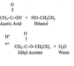 ethanol and acetic acid