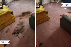 carpet cleaning victor ny chem dry