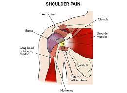 stretches to relieve shoulder pain