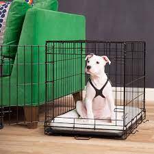 How To Crate Train Your Puppy Family Pupz