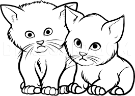 how to draw baby kittens baby kittens