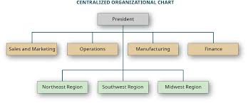 Describe How Decision Making Differs Between Centralized And