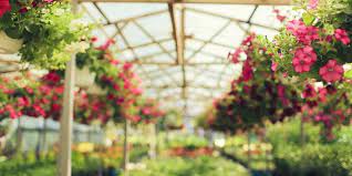 Greenhouse Florist Red Wagon Garden