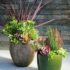 Succulent Landscaping Garden Containers