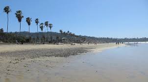 The Best La Jolla Beaches California Beaches