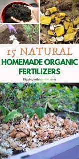 homemade fertilizer 15 best organic