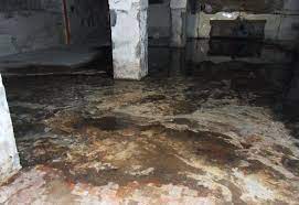 water damage cleanup tips to prevent