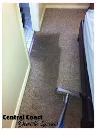 professional carpet cleaning central