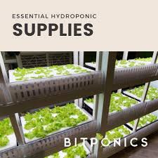 Hydroponic Supplies Everything You