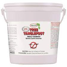 tanglefoot 5 lb insect barrier pail