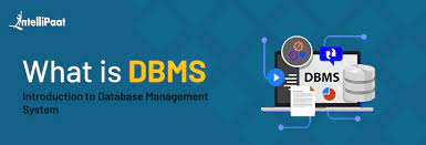 what is dbms database management system