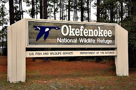 black water country okefenokee sw