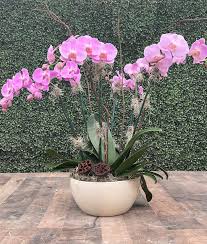 Purple Orchid Arrangement In Miami Fl