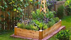 Square Foot Gardening Ideas For Small