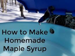 making maple syrup