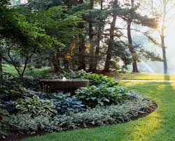 use this hosta filled shade garden plan