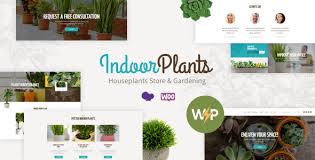 Indoor Plants Houseplants