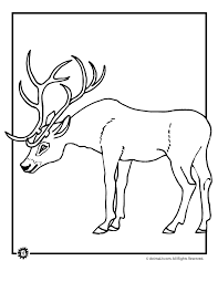 The vicious monster godzilla comes in various depiction in these printables. White Tailed Deer Coloring Page Coloring Home