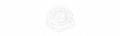 You know those amazing flower drawings that almost look real? How To Draw A Rose