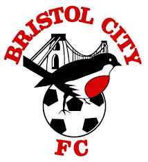 Image result for bristol city club badge
