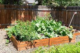 How To Make A Vegetable Garden Diy