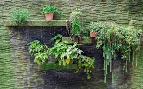 Interested In Vertical Greenery These