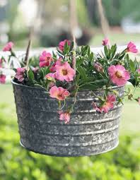 container plants for full sun