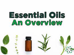 Getting essential oils from plants is done with a process called distillation, most commonly distillation by steam or water, where many parts of the plants are being used, including the plant roots, leaves, stems, flowers, or bark. Essential Oils An Overview Center For Research On Ingredient Safety