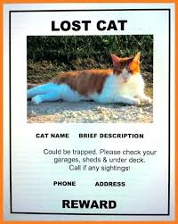 Lost Dog Flyers Template Elegant Cat Flyer Pet Missing Word
