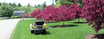 residential lawn care lawns of