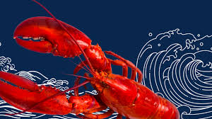 maine lobster fact sheet maine lobster