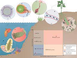 microbial motility and chemotaxis