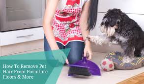 how to remove pet hair from everywhere