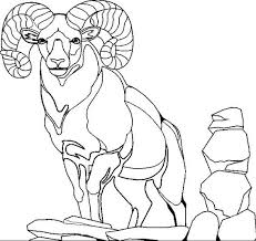 Free clip art boer goat. Mountain Goat Coloring Pages Animal Coloring Sheets For Kids Animal Coloring Pages Coloring Pages Mountain Goat