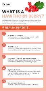 hawthorn berry health benefits and how
