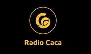 What is Radio Caca (RACA) • MEXC Blog