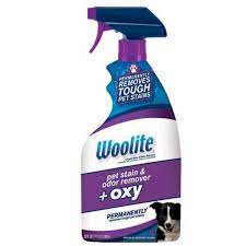 woolite carpet pet stain odor oxy