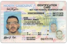Middle names or middle initials are optional. What A Driver S License Looks Like In Every State
