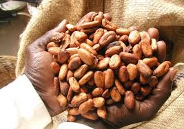 Why these two African countries produce 60% of the world's cocoa but get only 5% of the $100 billion industry - Face2Face Africa