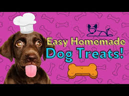 dog treat recipe you can bake