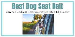 Best Dog Seat Belt Canine Headrest