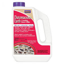 diatomaceous earth 5lb
