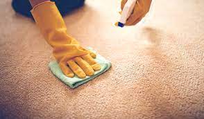 carpet deodorizer how to neutralize