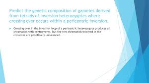 genetic composition of gametes derived