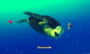 Finding nemo gifs, reaction gifs, cat gifs, and so much more. 12 Sea Turtle Facts That Prove How Cool They Are Finding Nemo Nemo Sea Turtle Facts